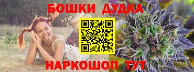 дмт Дубна
