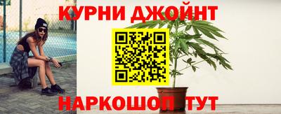 дмт Дубна