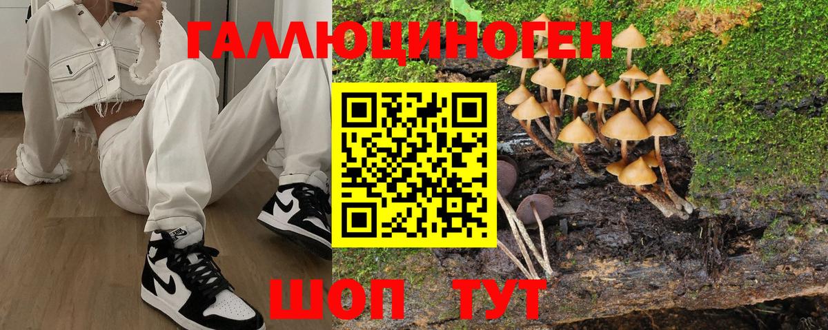 Псилоцибиновые грибы GOLDEN TEACHER Минусинск
